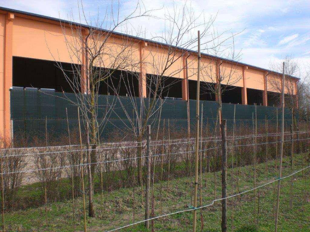 Immobile a Loreo in VIA CANALBIANCO - Foto 5