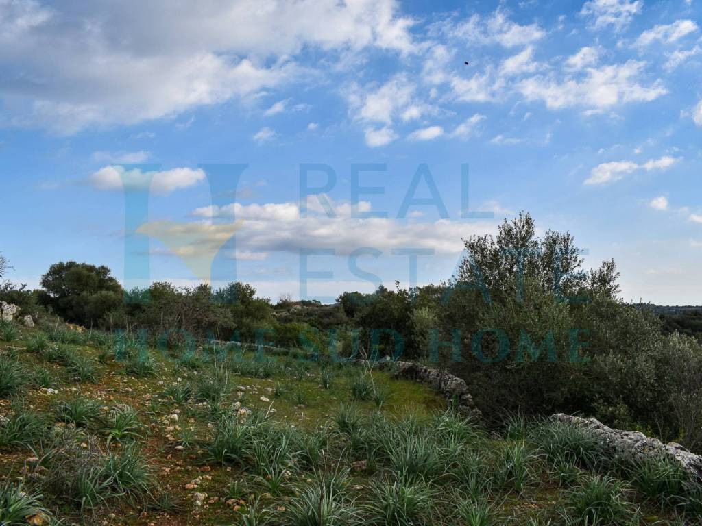 Villa a Noto in Via Principe Umberto, 1 - Foto 2