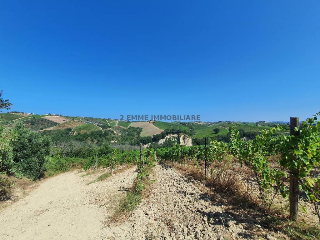 Rustico / casale a Ascoli piceno in BORGO MIRIAM - Foto 4