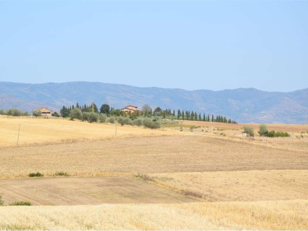 Rustico / casale a Cortona - Foto 2