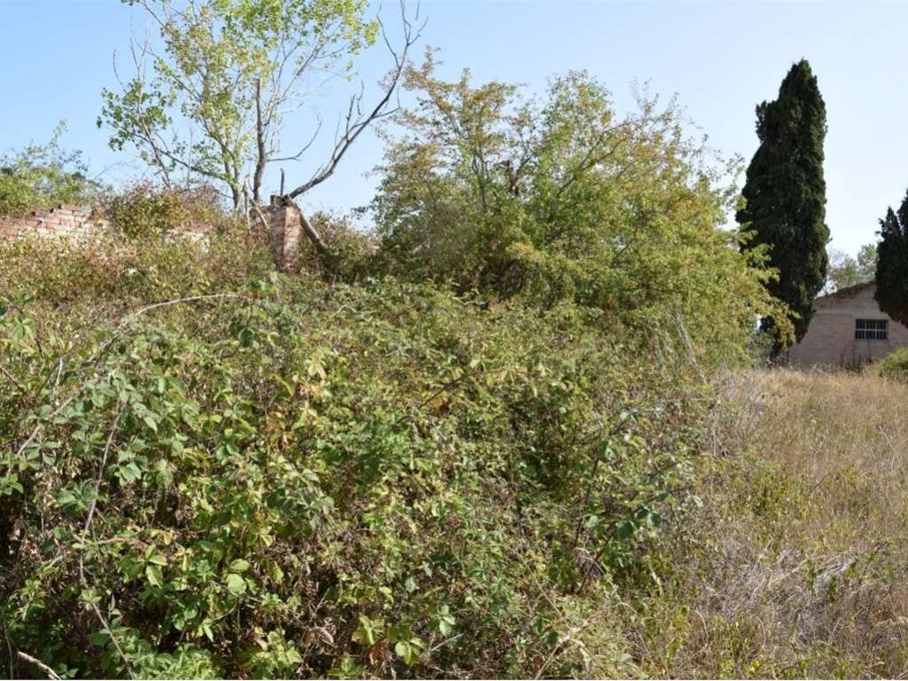 Rustico / casale a Cortona - Foto 4