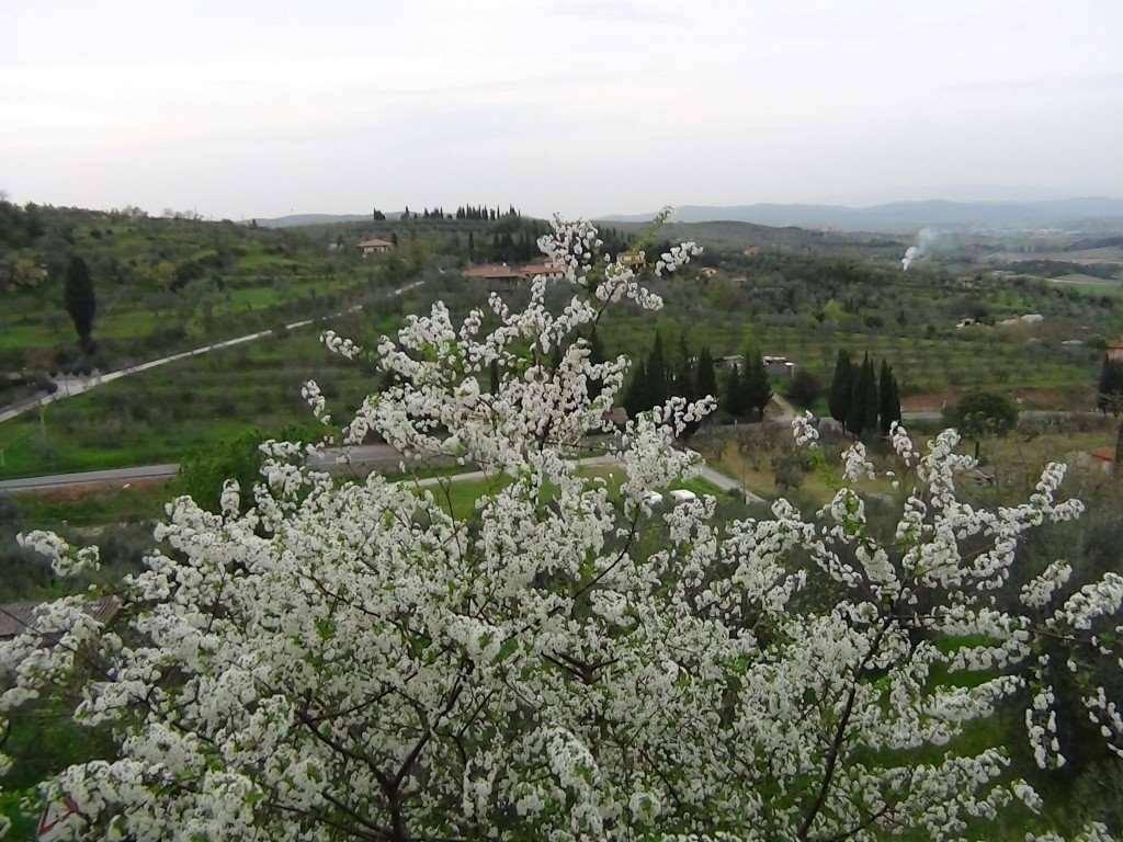 Casa indipendente a Lucignano - Foto 2