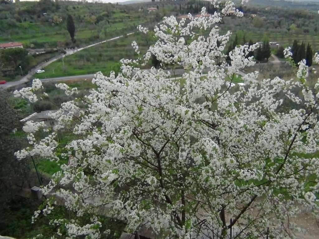 Casa indipendente a Lucignano - Foto 3