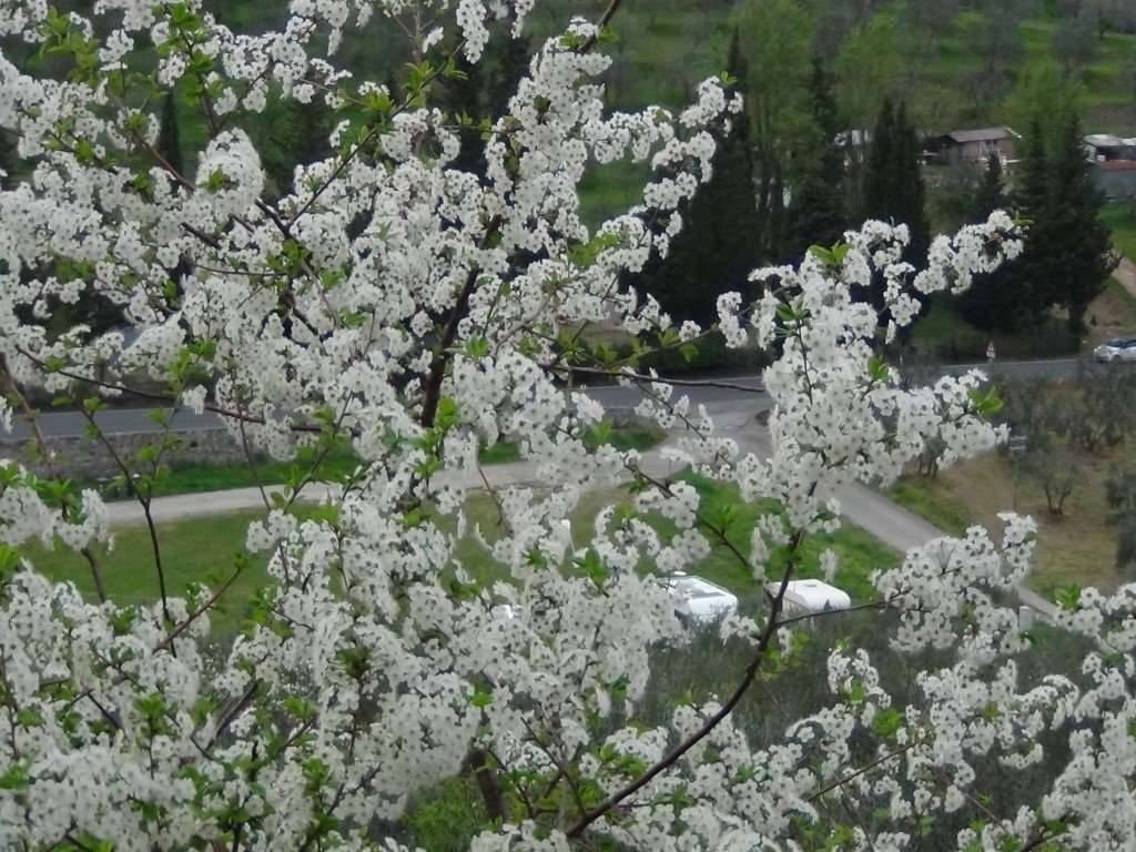 Casa indipendente a Lucignano - Foto 4