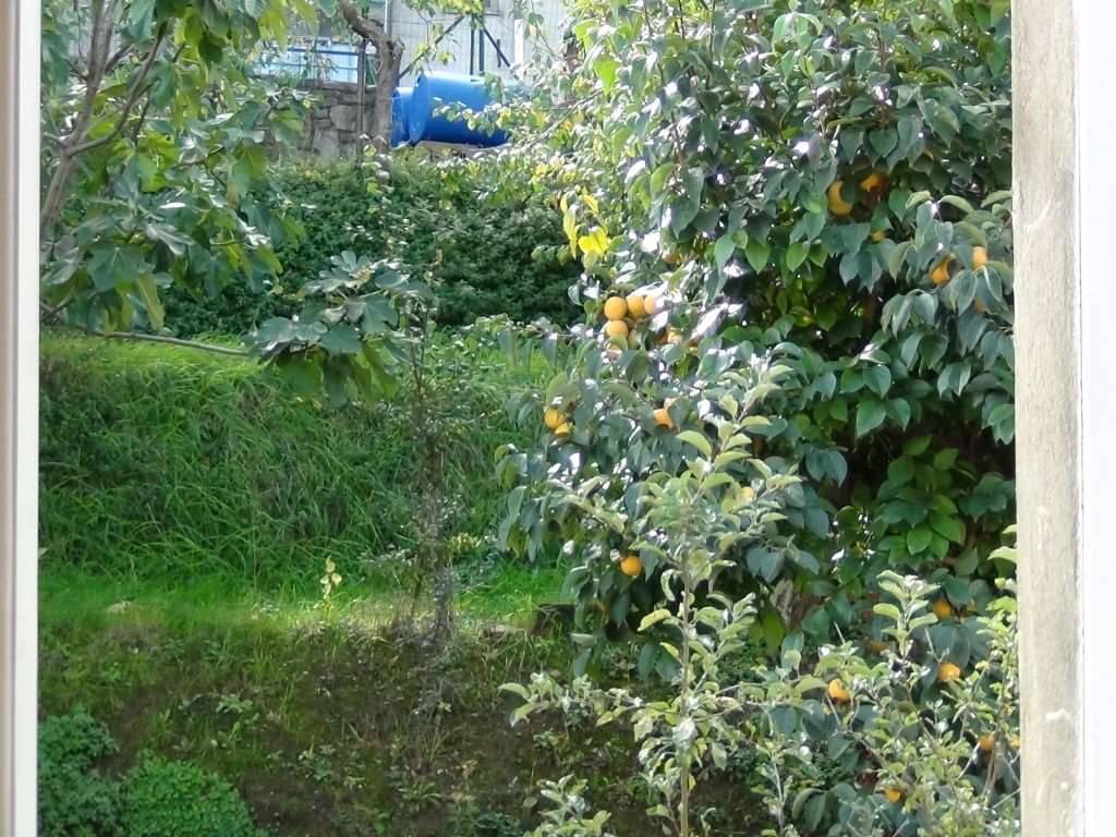 Casa indipendente a Lucignano - Foto 5