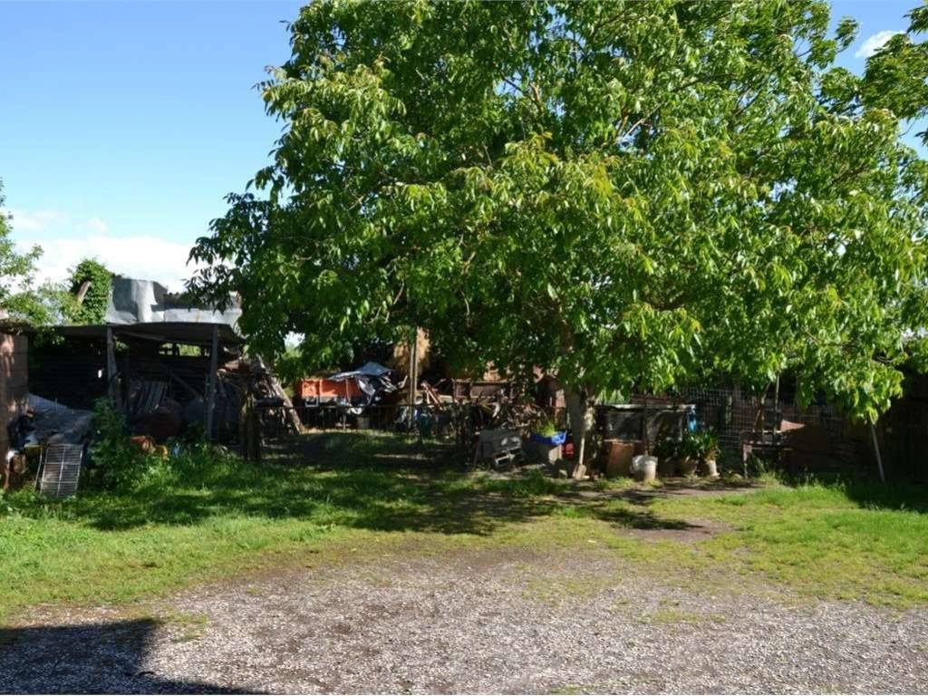 Casa indipendente a Sinalunga - Foto 4