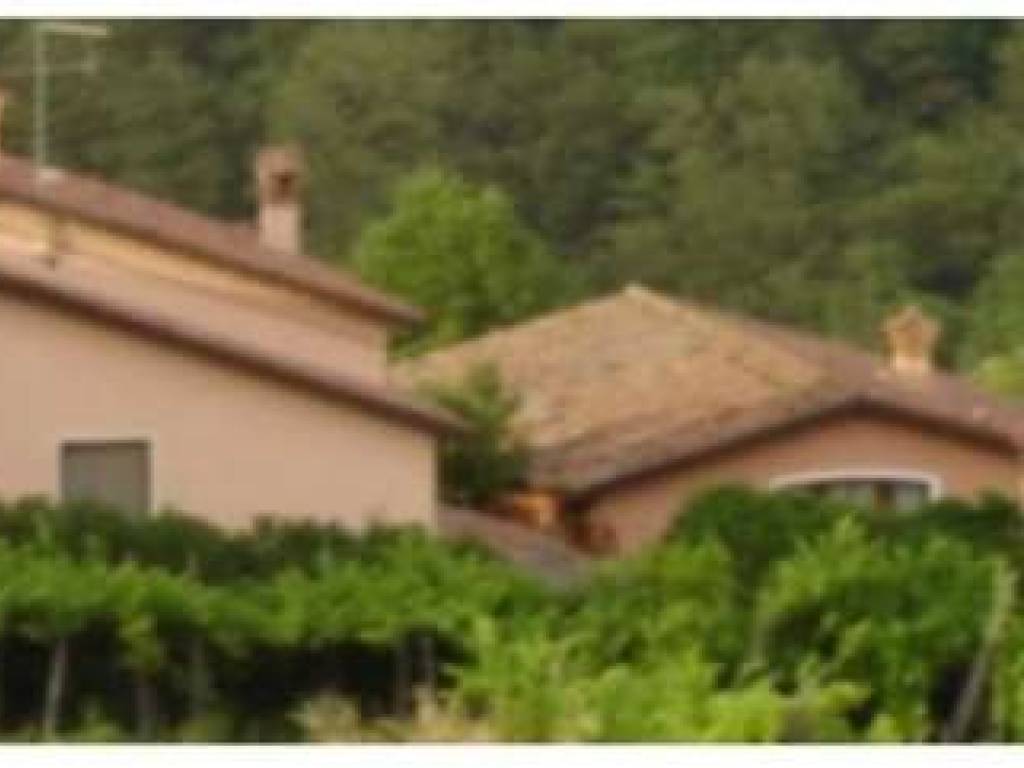 Rustico / casale a Città della pieve - Foto 2