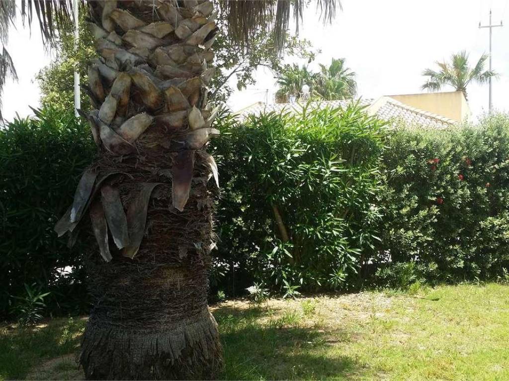 Villa a Marsala - Foto 4