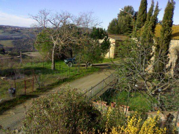 Terreno a San gimignano in Località Ciuciano - Foto 2