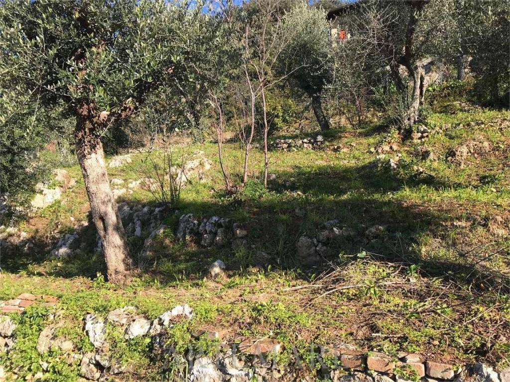 Rustico / casale a Pietrasanta - Foto 4