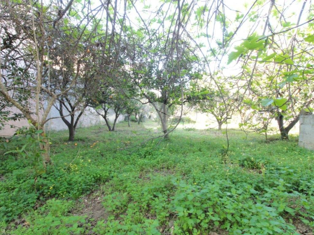 Villa a Dolianova in Viale Dante Alighieri, 32 - Foto 4