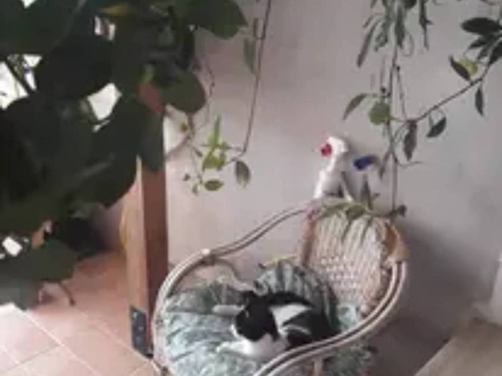 Appartamento a Altavilla silentina in Vicolo di Masi - Foto 4