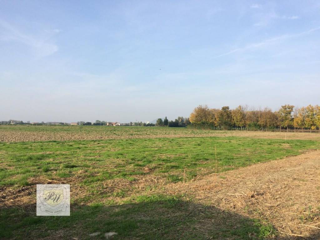 Terreno a Ospedaletto euganeo in Via Boschette - Foto 4