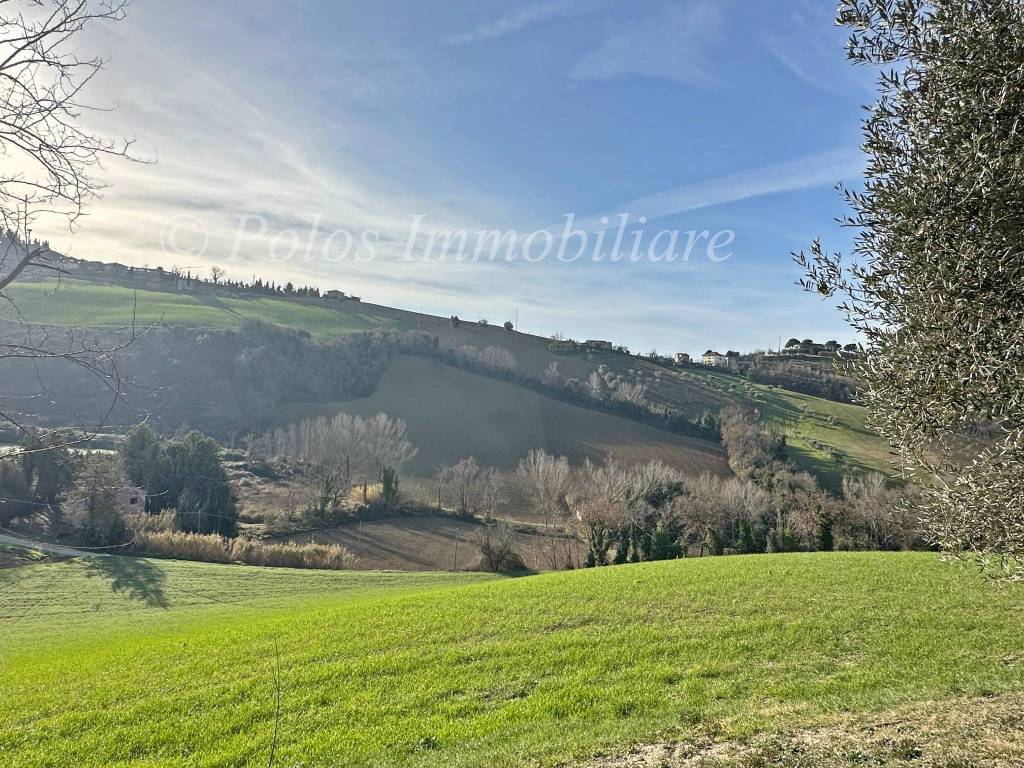 Rustico / casale a Monte giberto - Foto 5