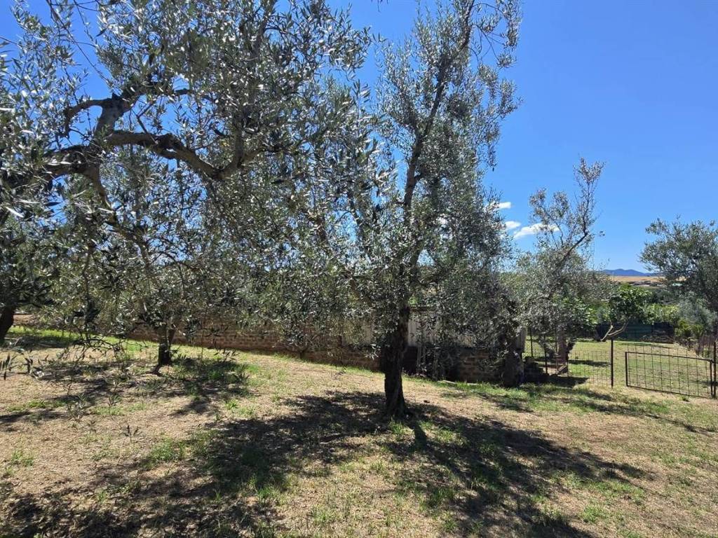 Appartamento a Monte romano in via liguria - Foto 3