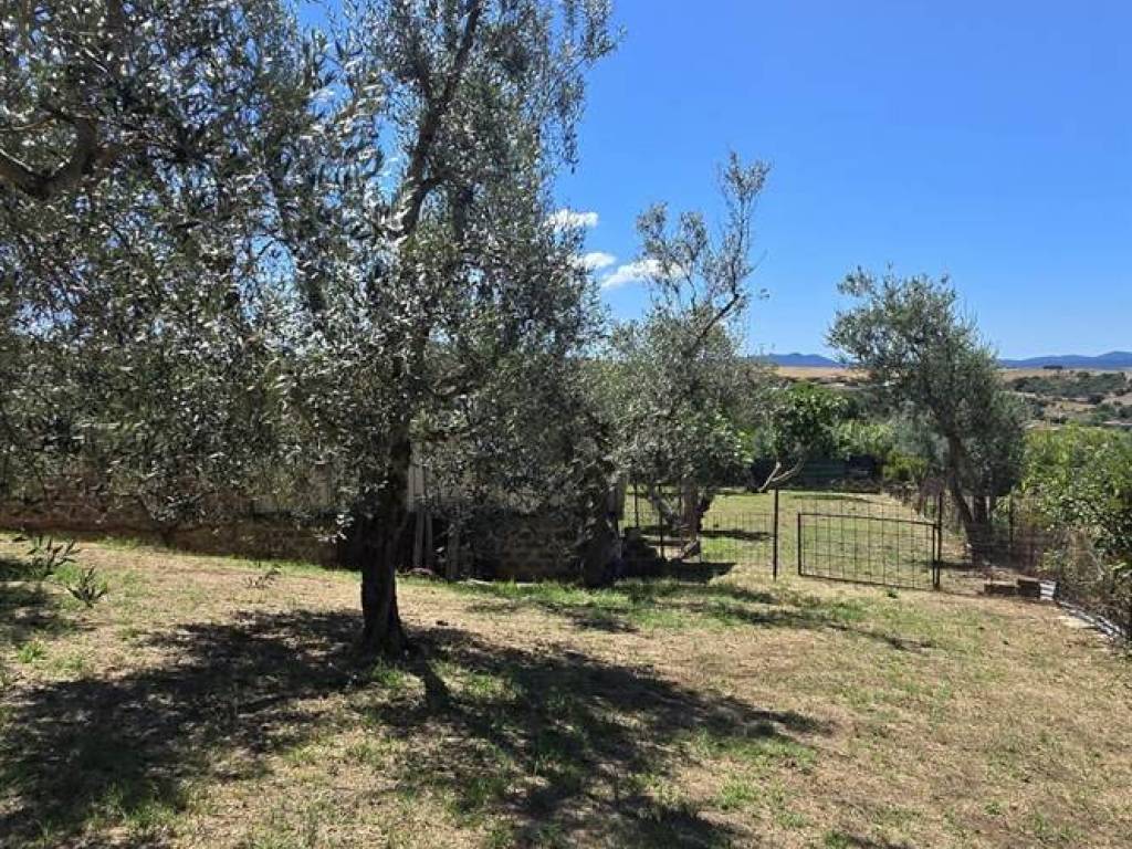 Appartamento a Monte romano in via liguria - Foto 4