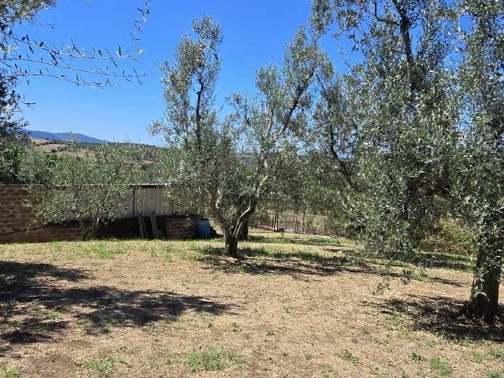 Appartamento a Monte romano in via liguria - Foto 5