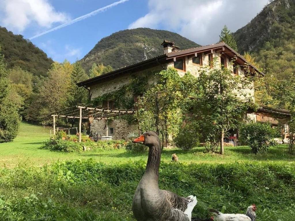 Rustico / casale a Sabbio chiese - Foto 2