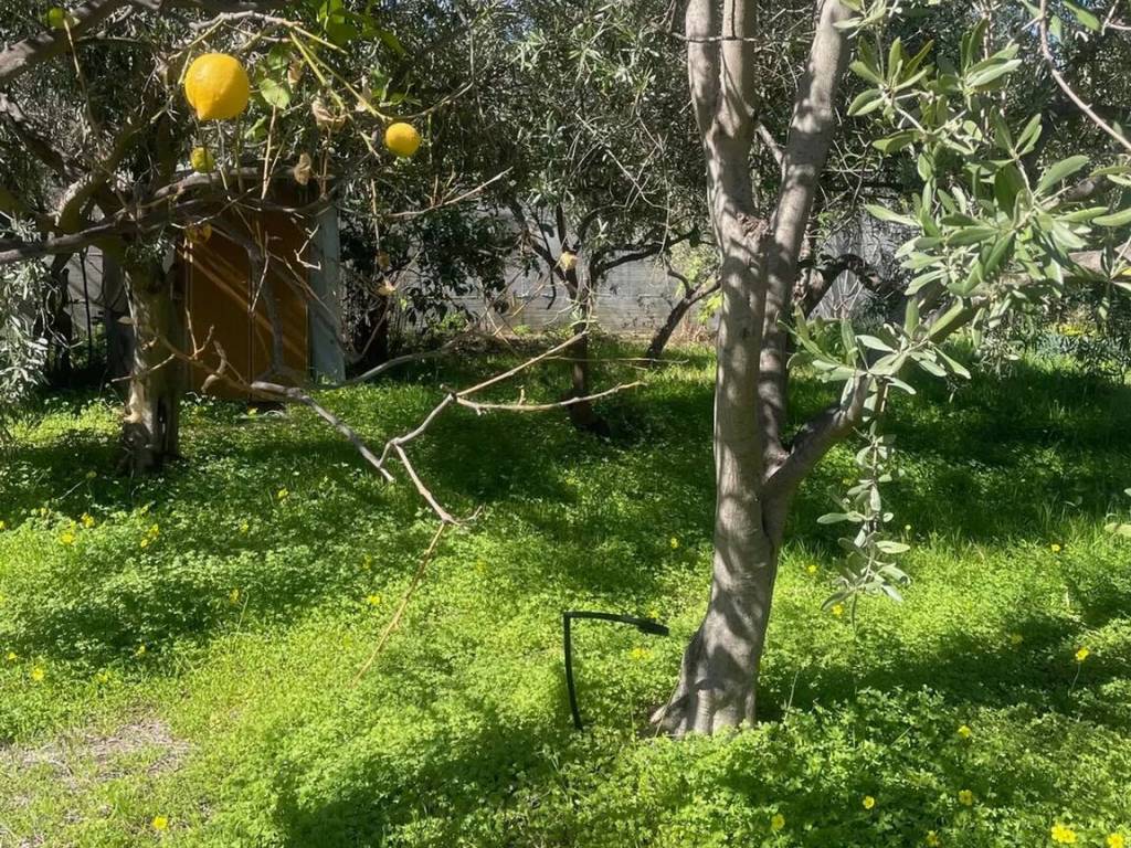Terreno a Trabia in Contrada Salina San Onofrio S.N.C. - Foto 2