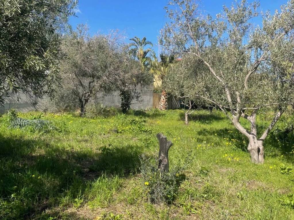 Terreno a Trabia in Contrada Salina San Onofrio S.N.C. - Foto 3