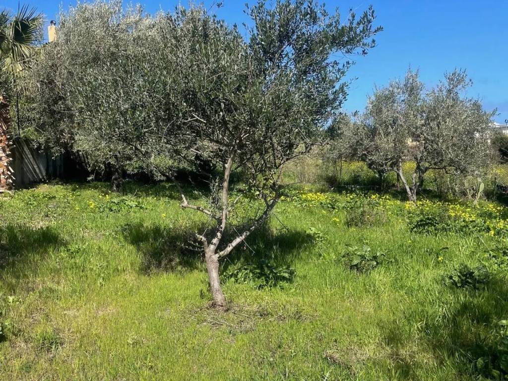 Terreno a Trabia in Contrada Salina San Onofrio S.N.C. - Foto 4
