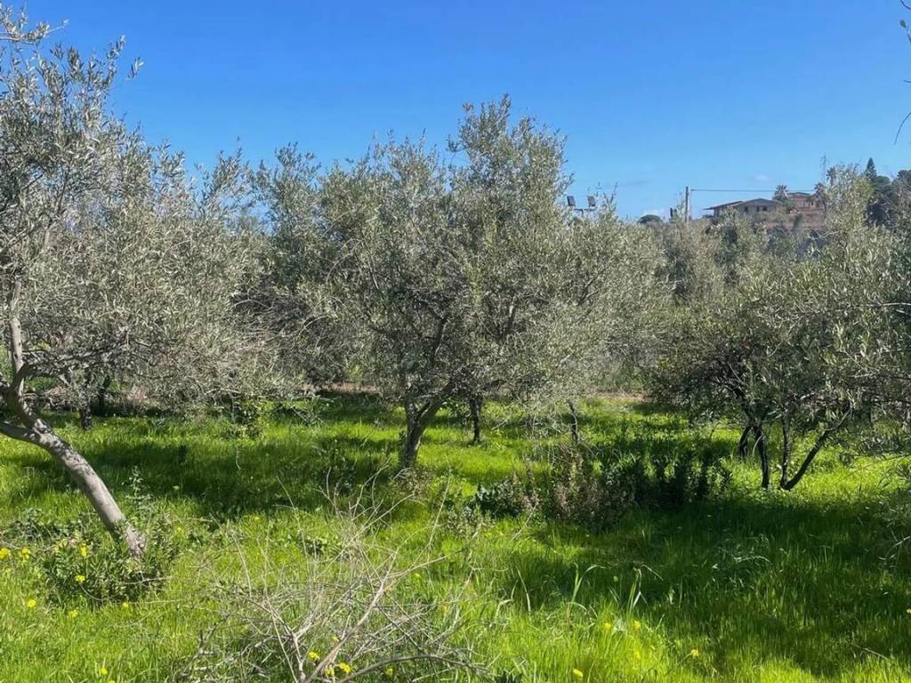 Terreno a Trabia in Contrada Salina San Onofrio S.N.C. - Foto 5