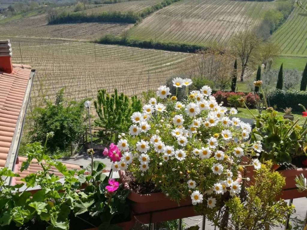 Appartamento a Montepulciano in Via Abruzzo - Foto 3