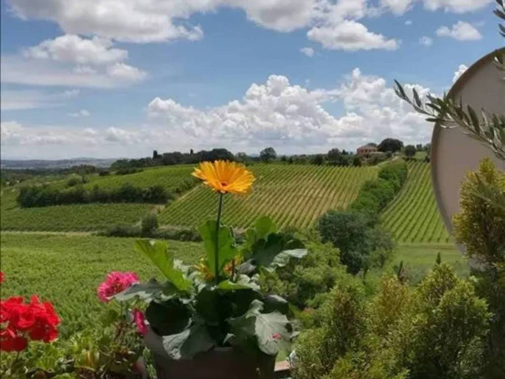 Appartamento a Montepulciano in Via Abruzzo - Foto 4