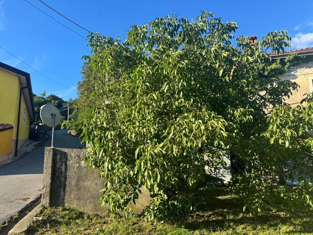 Casa indipendente a San dorligo della valle - dolina in Grozzana, 19 - Foto 5