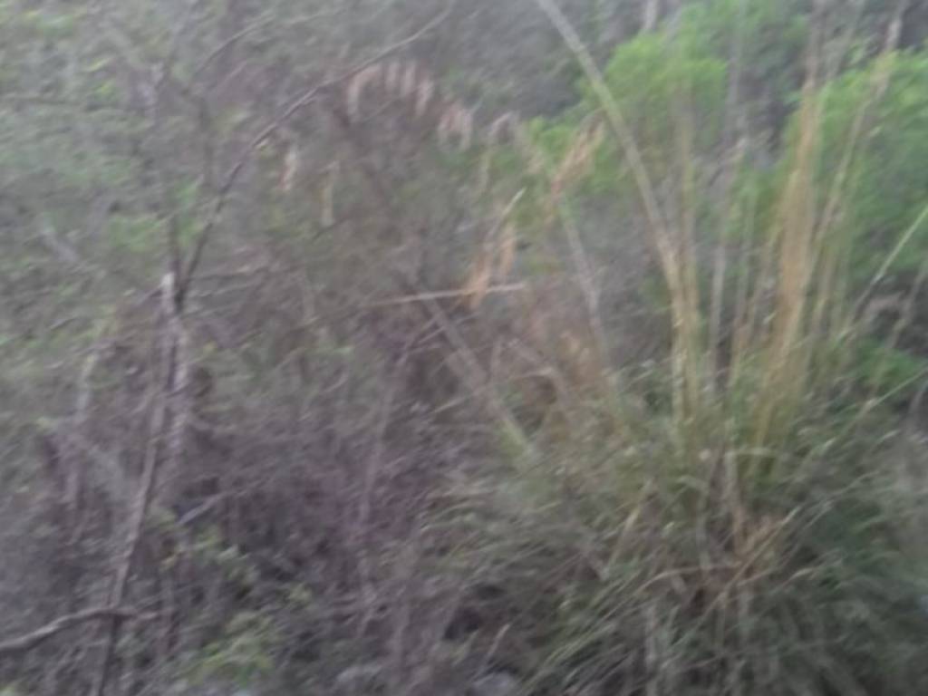 Terreno a Itri - Foto 5