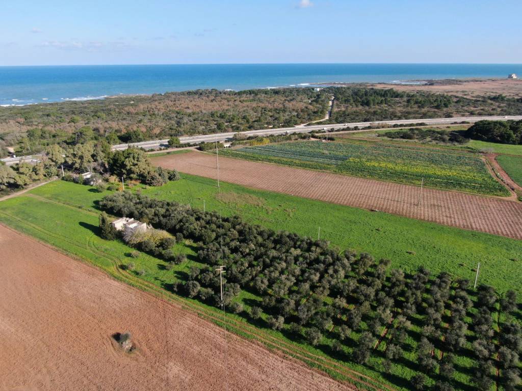 Rustico / casale a Carovigno in Strada Comunale Carovigno - Foto 2