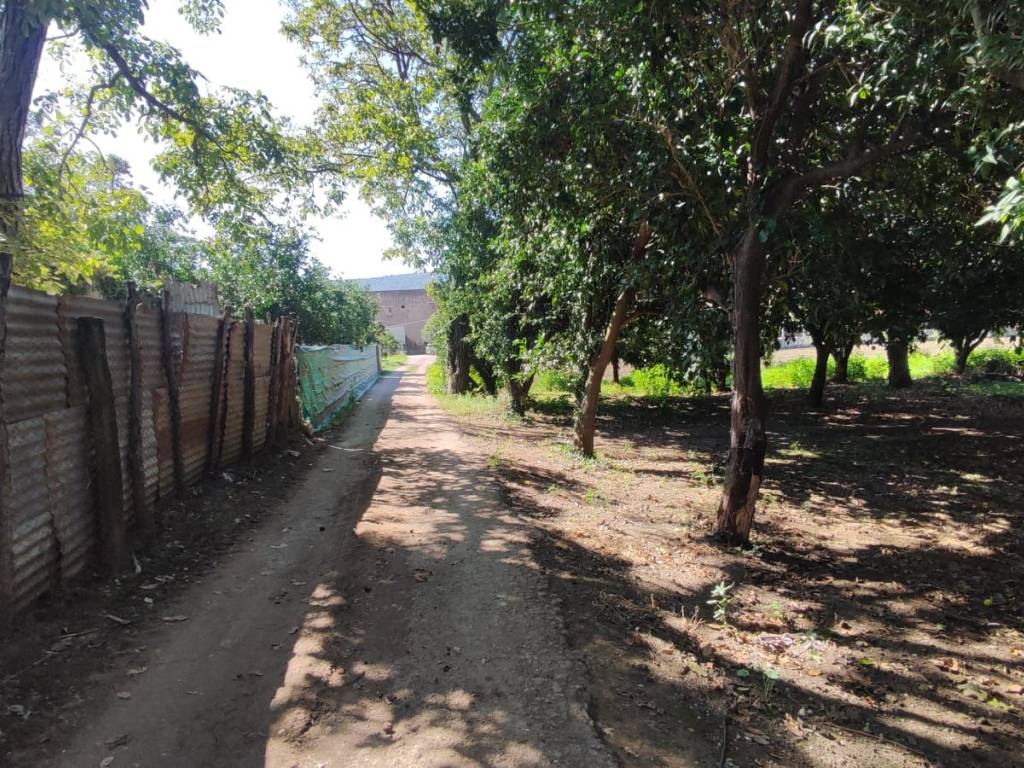 Terreno a Maddaloni in Via Colle Puoti, 58 - Foto 3