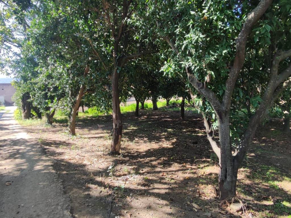 Terreno a Maddaloni in Via Colle Puoti, 58 - Foto 4