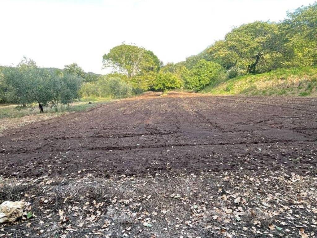Rustico / casale a Caserta in Via Casola - Foto 3