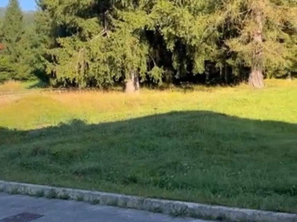 Terreno a Falcade in Via Ronch - Foto 2