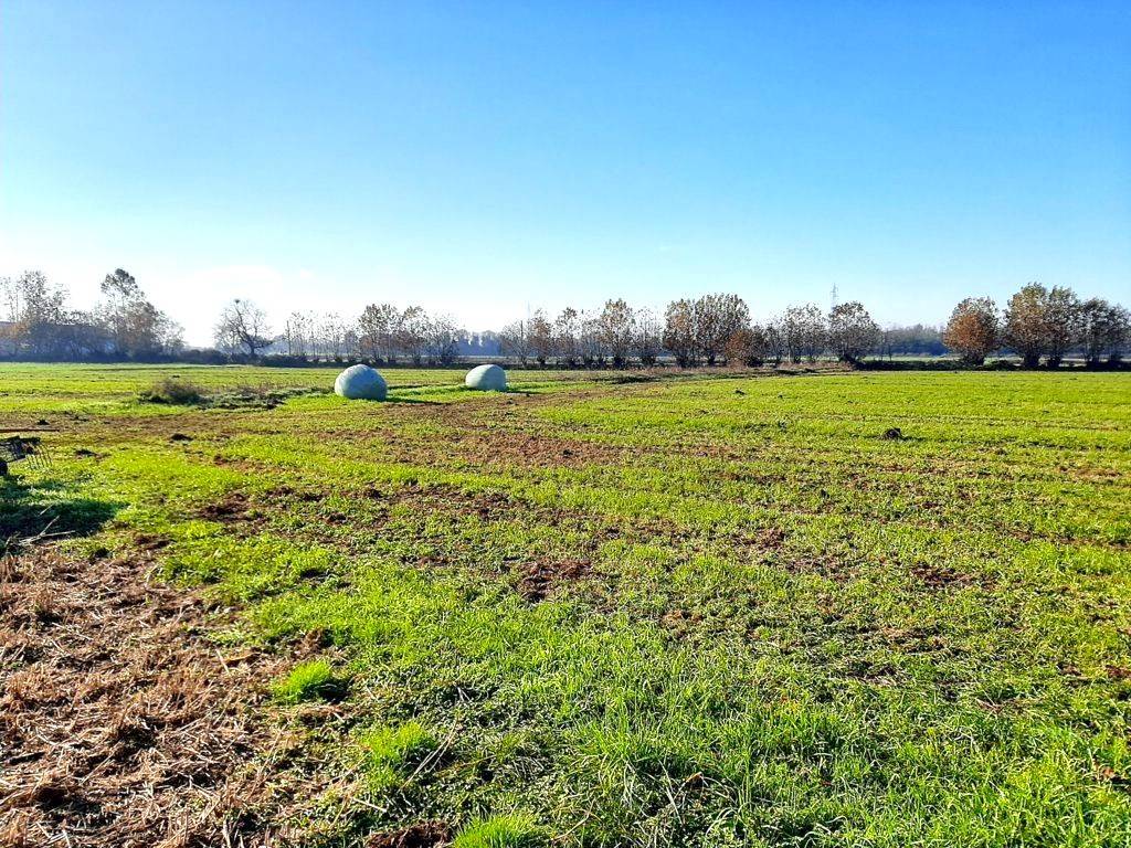 Terreno a Volta mantovana - Foto 2
