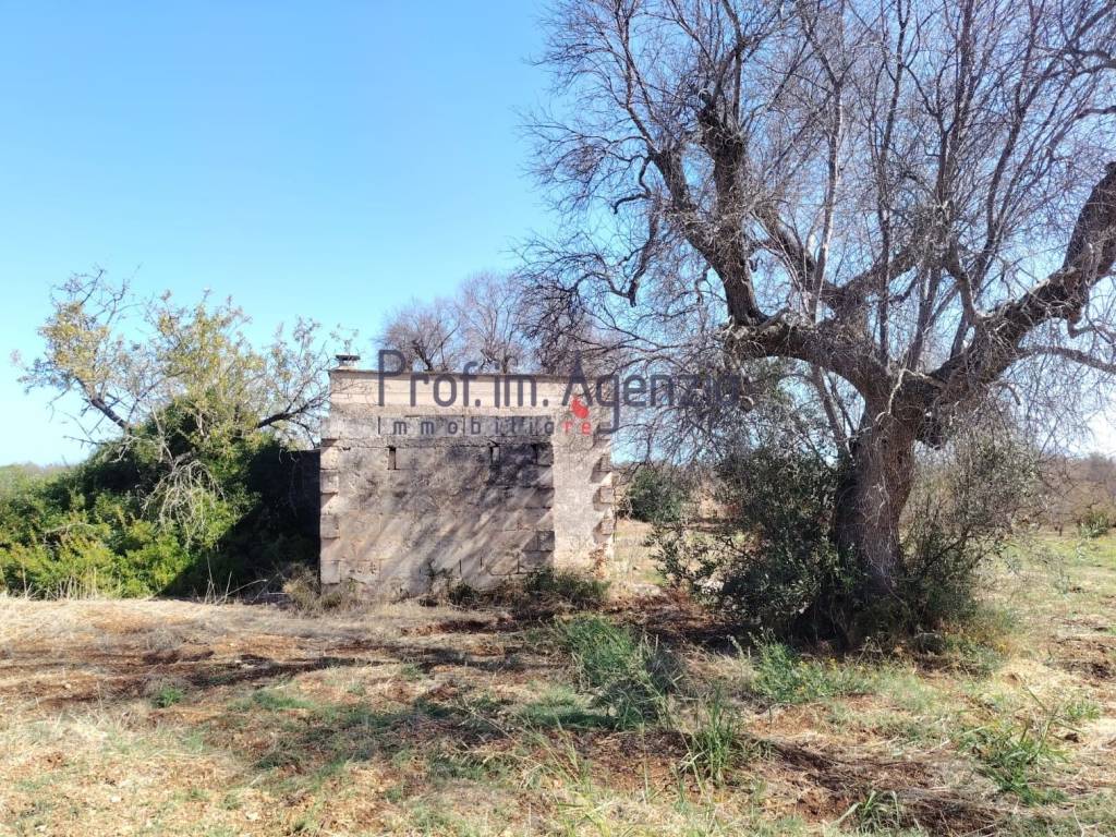 Rustico / casale a Carovigno in Contrada Palco di Cristo - Foto 4
