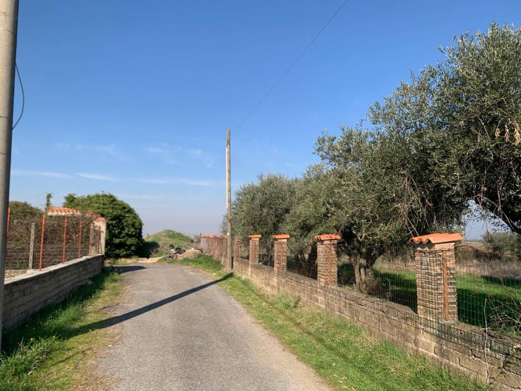 Terreno a Gallicano nel lazio in Via Colle dell'Ara - Foto 2