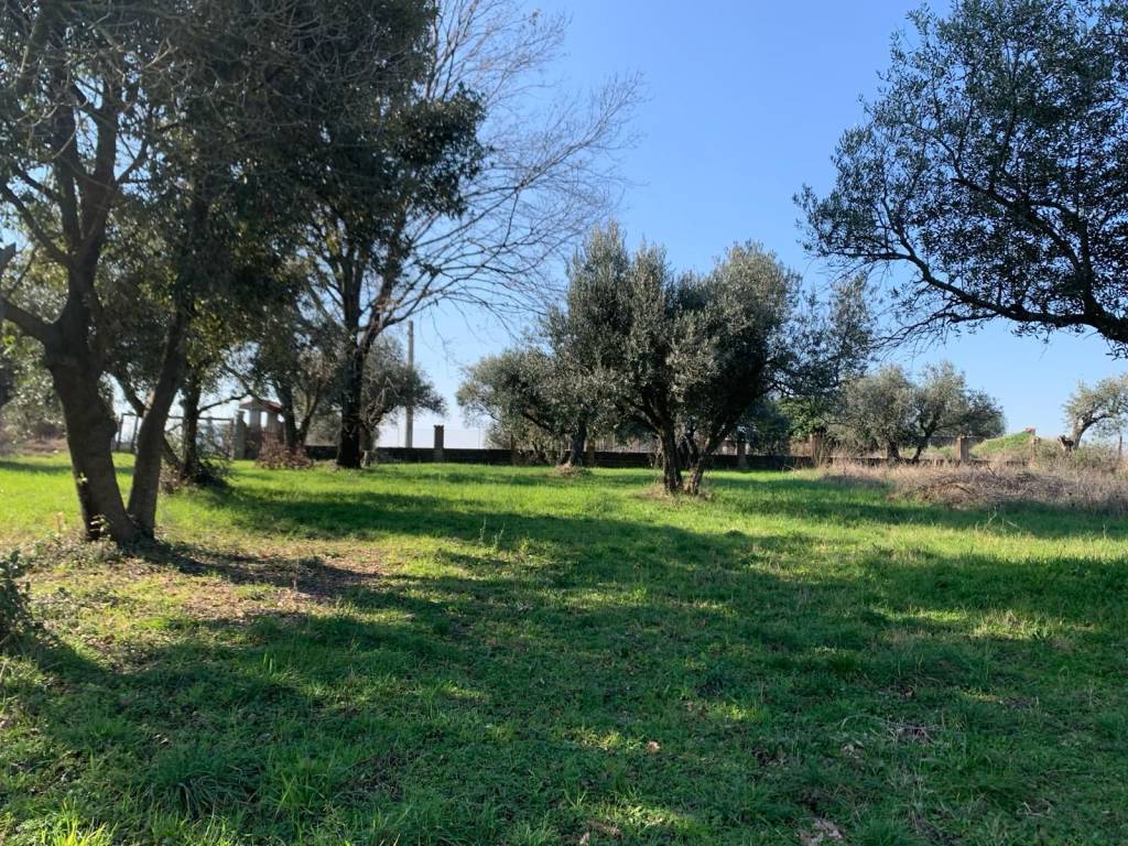 Terreno a Gallicano nel lazio in Via Colle dell'Ara - Foto 3