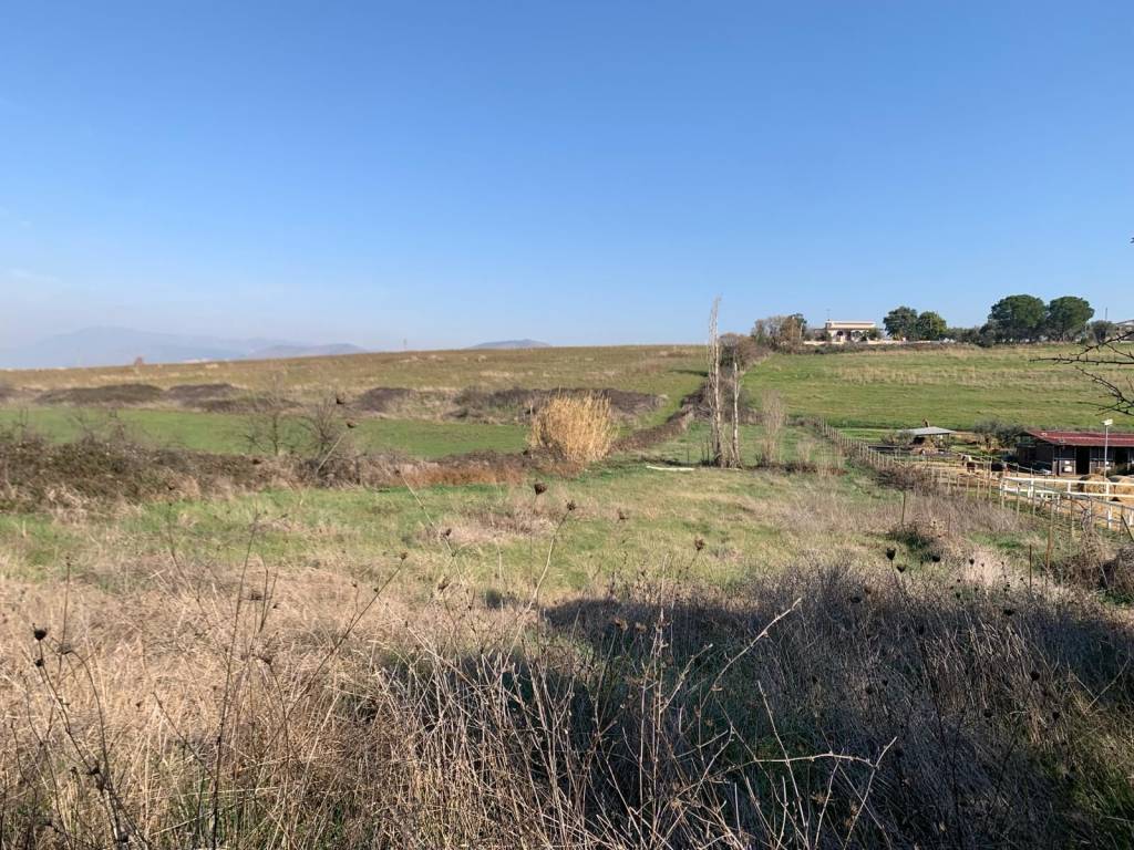 Terreno a Gallicano nel lazio in Via Colle dell'Ara - Foto 4