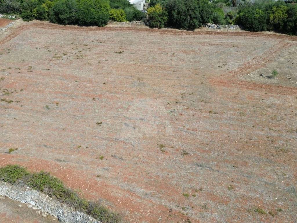 Terreno a Alessano in Via Mortiti, 11 - Foto 3