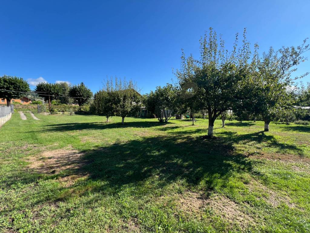Terreno a Luserna san giovanni - Foto 3