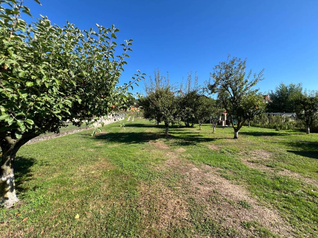 Terreno a Luserna san giovanni - Foto 4