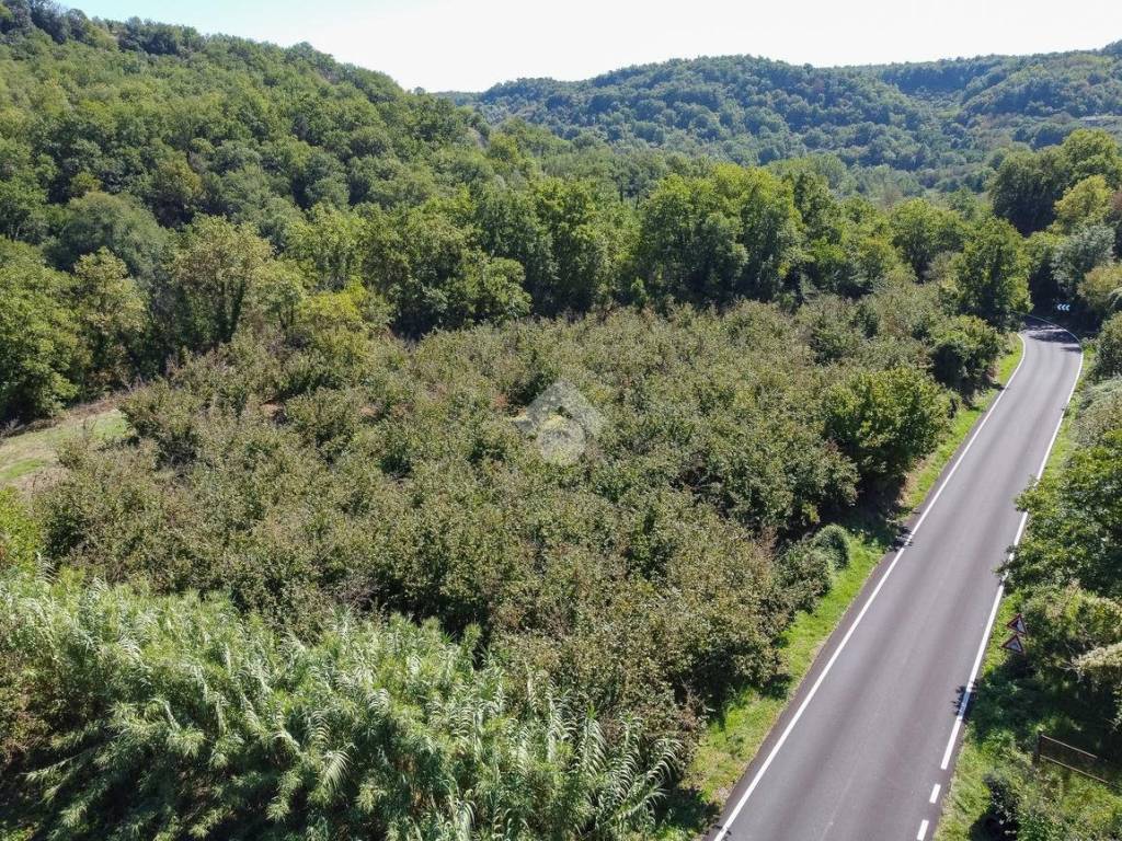Terreno a Vitorchiano in Str. Vezza - Foto 3
