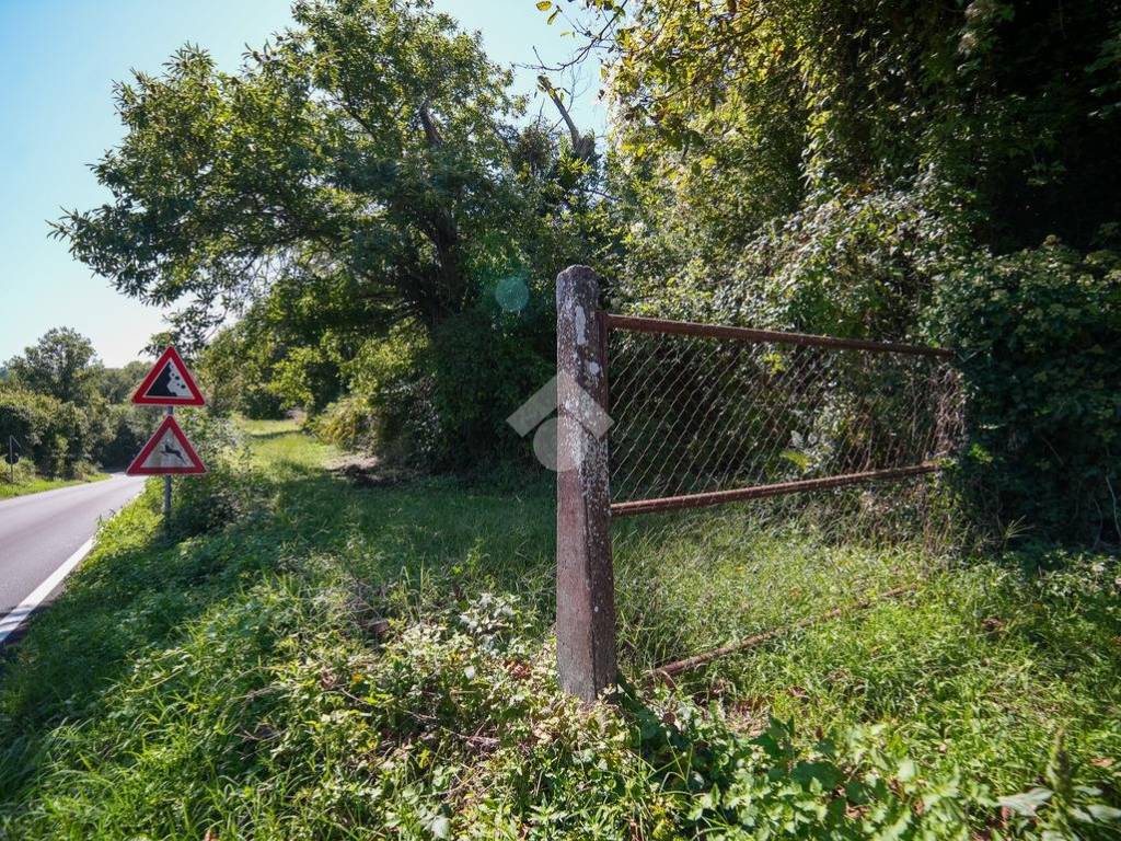 Terreno a Vitorchiano in Str. Vezza - Foto 5