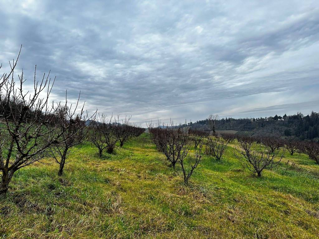 Terreno a Imola in Via Suore, 11 - Foto 2