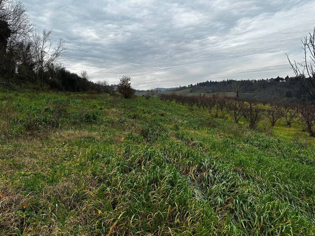 Terreno a Imola in Via Suore, 11 - Foto 3