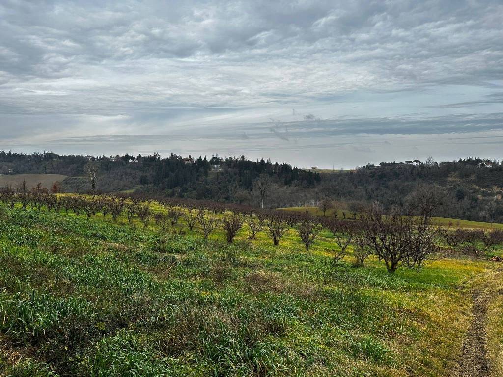 Terreno a Imola in Via Suore, 11 - Foto 4