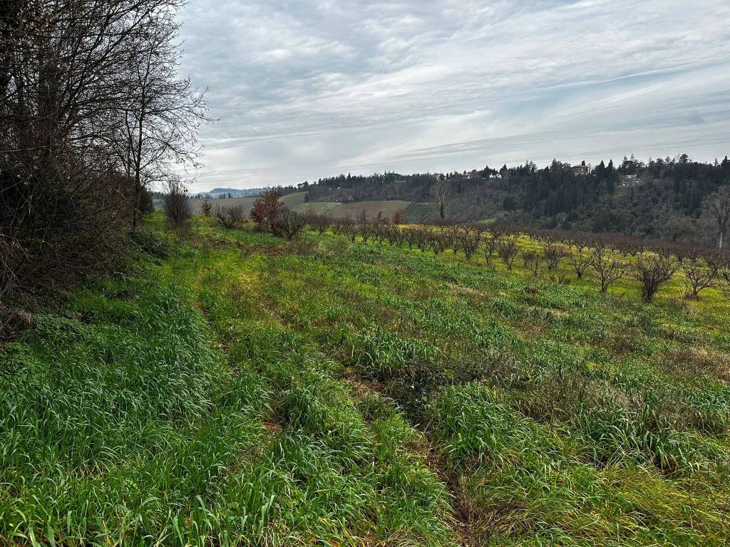 Terreno a Imola in Via Suore, 11 - Foto 5