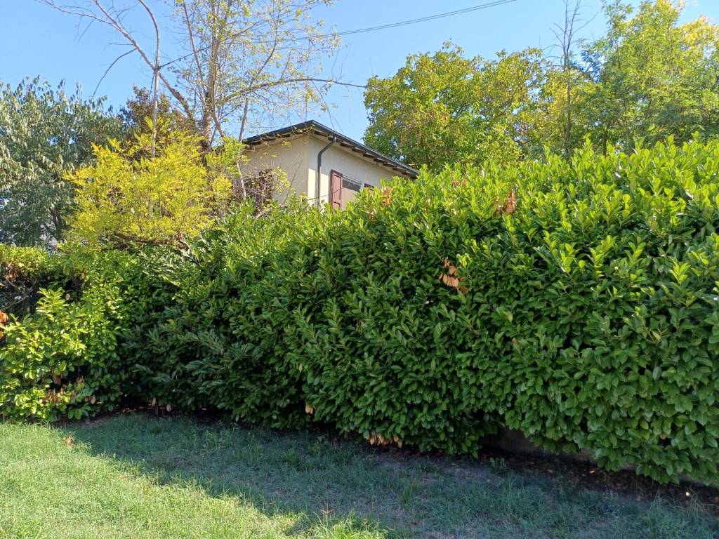 Villa a Carpi in Via Ivaldo Aguzzoli - Foto 4